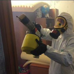 Уничтожение клопов в квартире. Мамоново